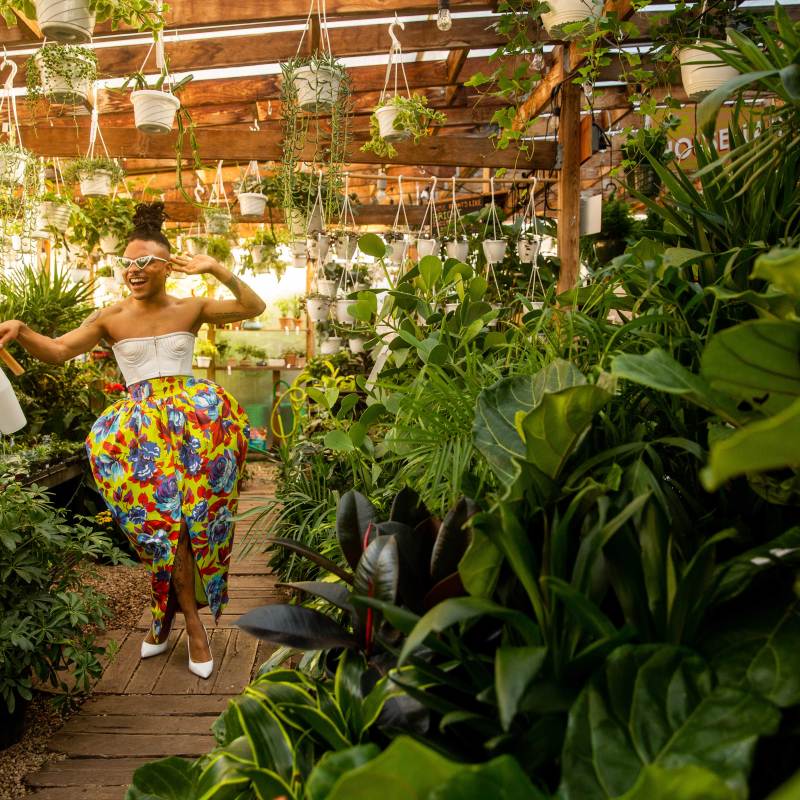 Your Houseplants Need a Spa Day—Here’s How to Give Them One