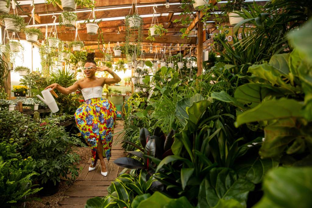 Your Houseplants Need a Spa Day—Here’s How to Give Them One