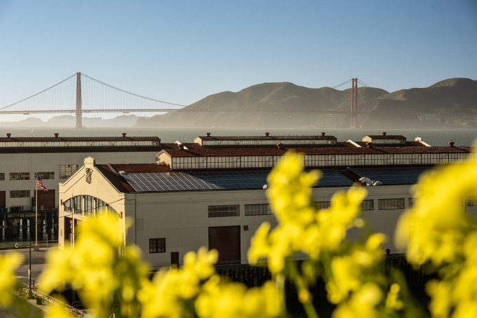 Flowers and Fort Mason warehouses with the Golden Gate Bridge in the distance