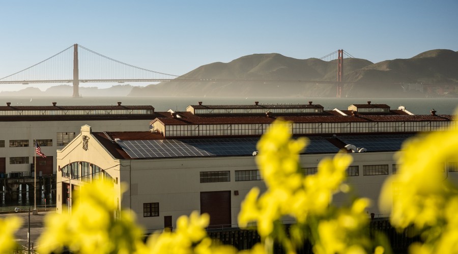 A Bay Area Tastemaker Takes Us Inside Her Favorite Secret Spots