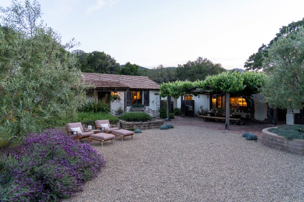 Spring Means It’s Go-Time in the Garden. Here Are 11 Things to Do Now.