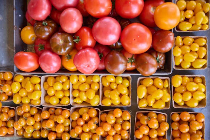 Red and Yellow Tomatoes in Baskets