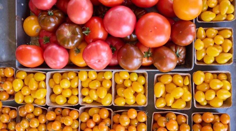 Tomato Prices Are Soaring. Here's Which Ones to Plant Right Now—Based on Your Region