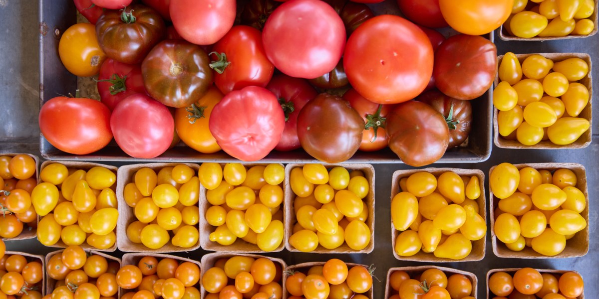 Tomato Prices Are Soaring. Here’s Which Ones to Plant Right Now—Based on Your Region