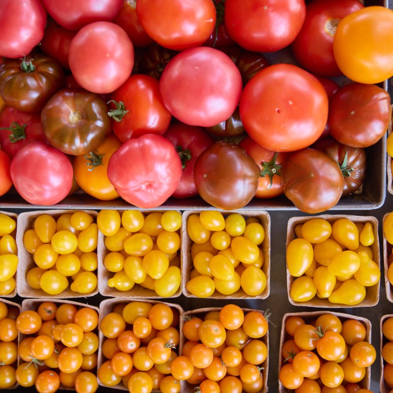 Tomato Prices Are Soaring. Here’s Which Ones to Plant Right Now—Based on Your Region