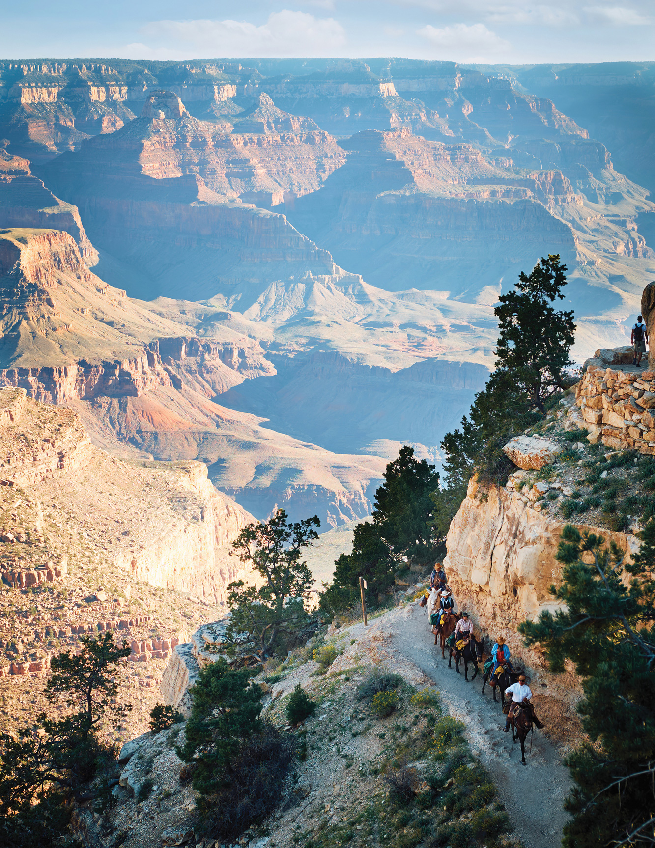 Mules on the Bright Angel Trail