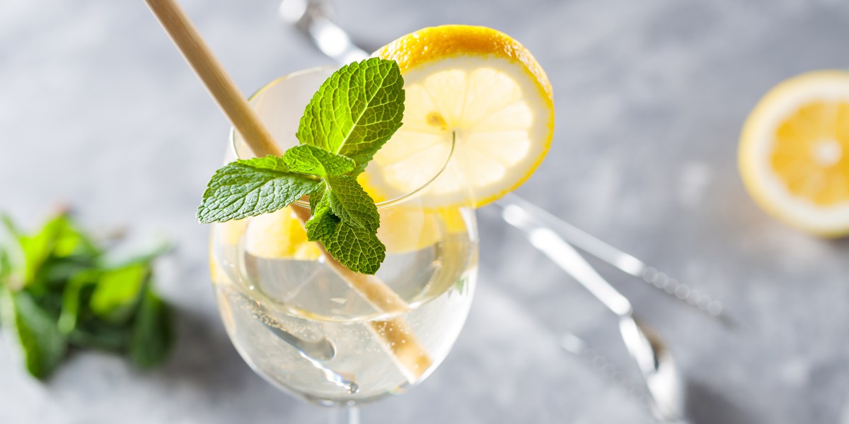 This Botanical Spritz Is the Drink of the Summer