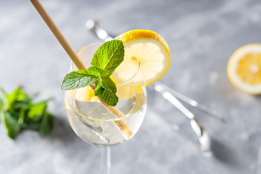 This Botanical Spritz Is the Drink of the Summer