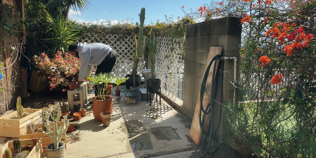 The Ultimate Moving Day Survival Guide for Your Houseplants