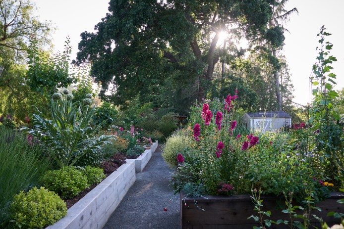 Pine House Edible Gardens Schimmel Garden Walnut Creek