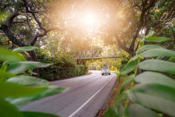 Avila Beach Drive