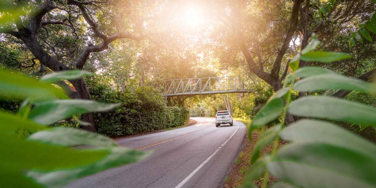 This Coastal California City Is a Must-Visit for Plant Lovers