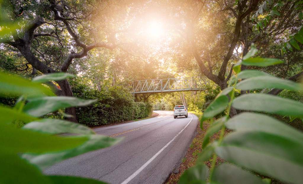 This Coastal California City Is a Must-Visit for Plant Lovers