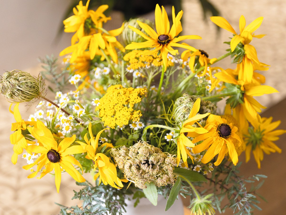 Bouquet with Chamomile