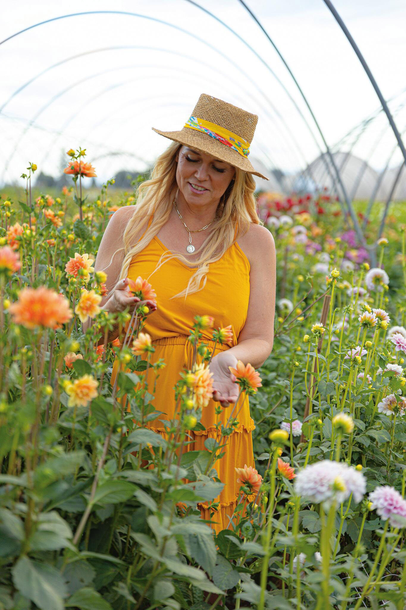 These Are the Best Flowers to Plant in Your Summer Garden - Sunset