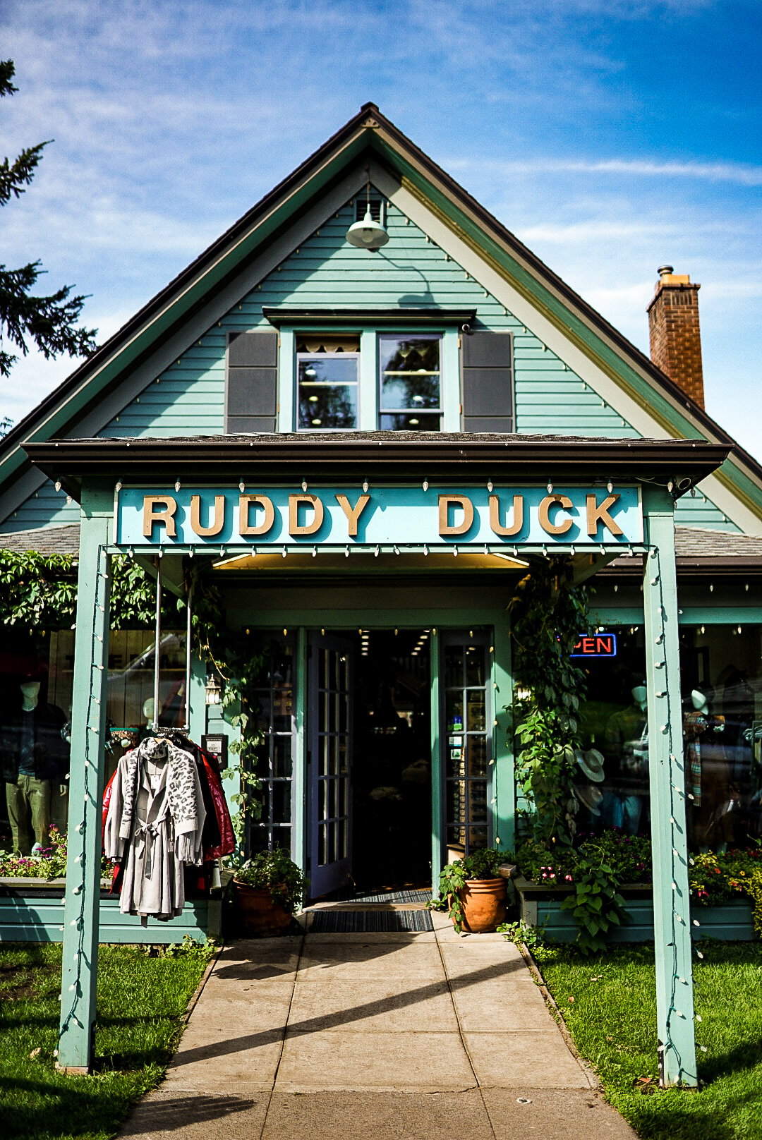 Hood River Ruddy Duck