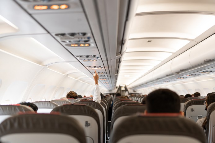 Plane Flight Attendant Flying