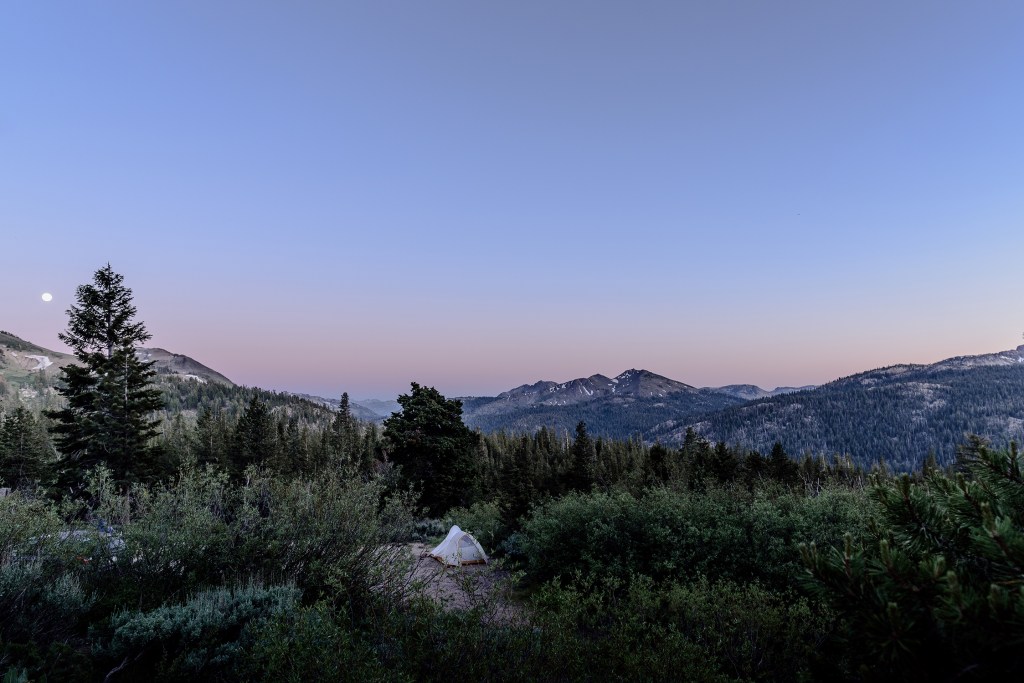 Stanislaus National Forest