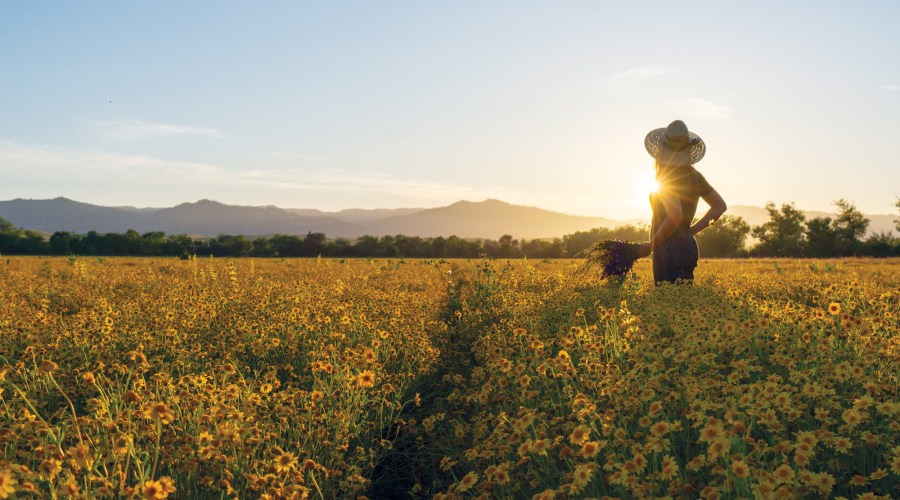 Tour the 300-Acre Northern California Farm That's Been Committed to Native Plants for Almost 40 Years
