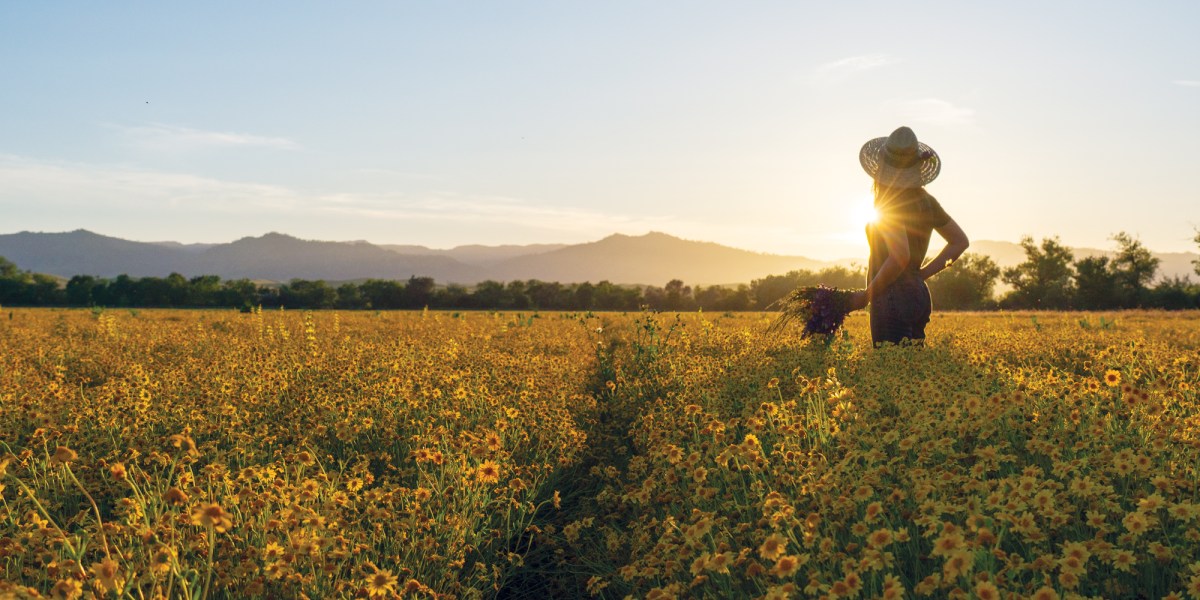 Tour the 300-Acre Northern California Farm That’s Been Committed to Native Plants for Almost 40 Years