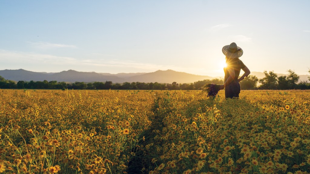 Tour the 300-Acre Northern California Farm That’s Been Committed to Native Plants for Almost 40 Years