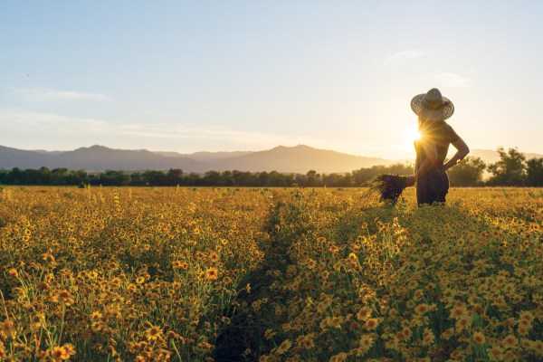 Tour the 300-Acre Northern California Farm That’s Been Committed to Native Plants for Almost 40 Years