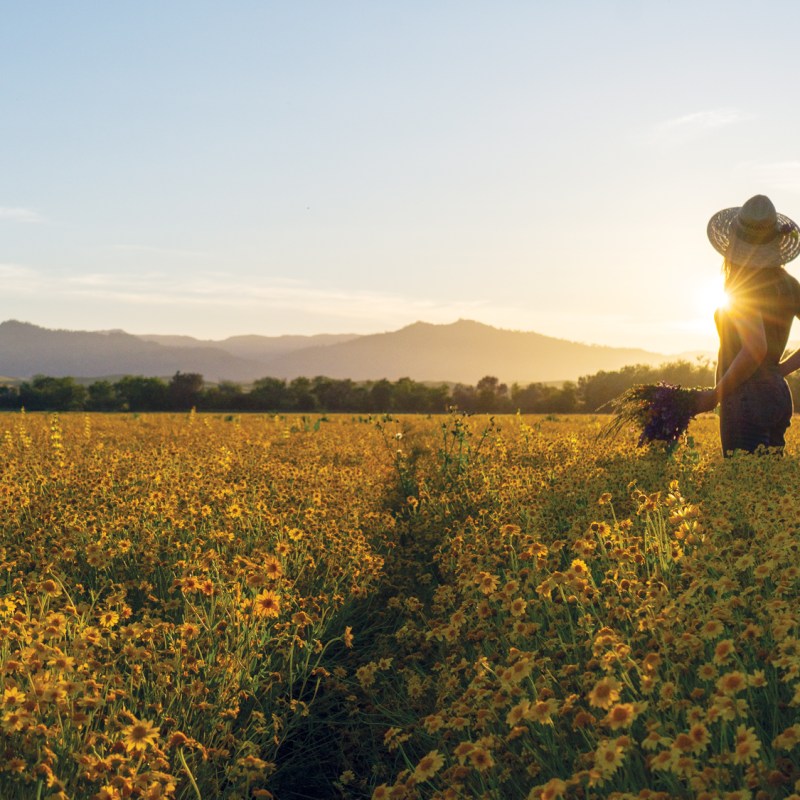 Tour the 300-Acre Northern California Farm That’s Been Committed to Native Plants for Almost 40 Years