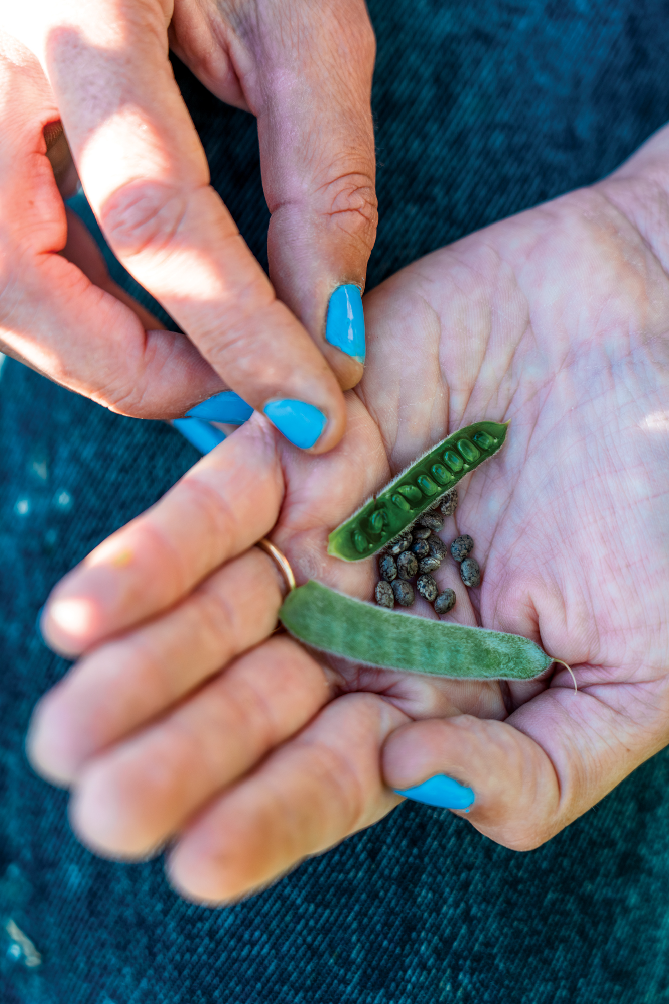 Hedgerow Farms Seeds