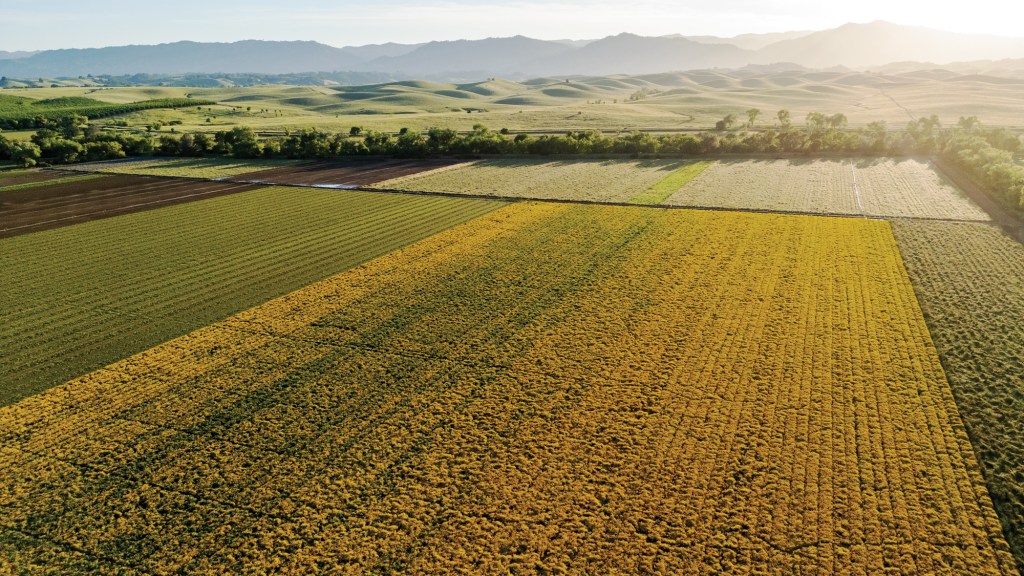 Hedgerow Farms Overview