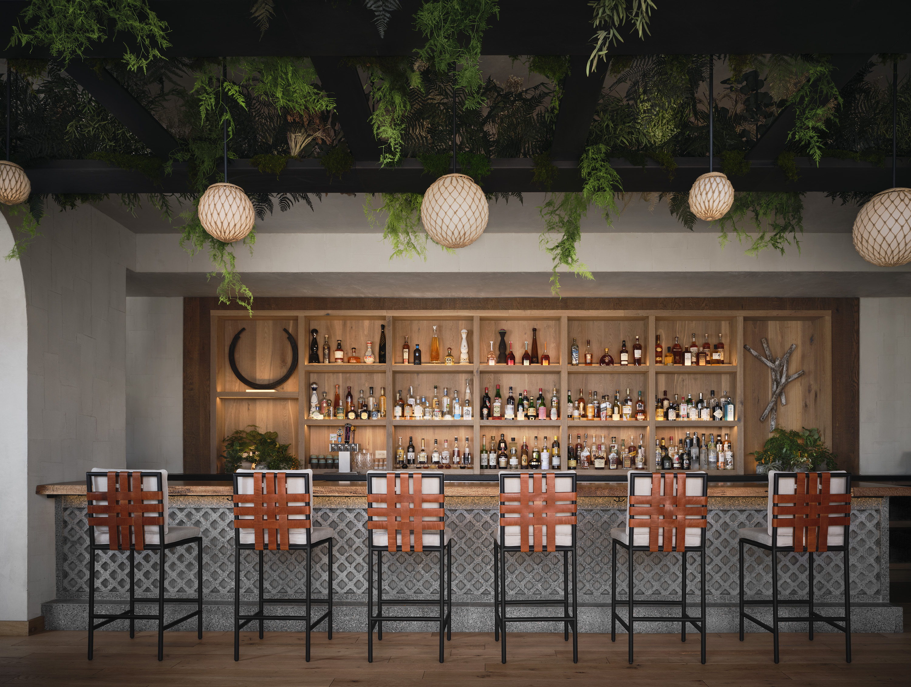 terrene-bar
