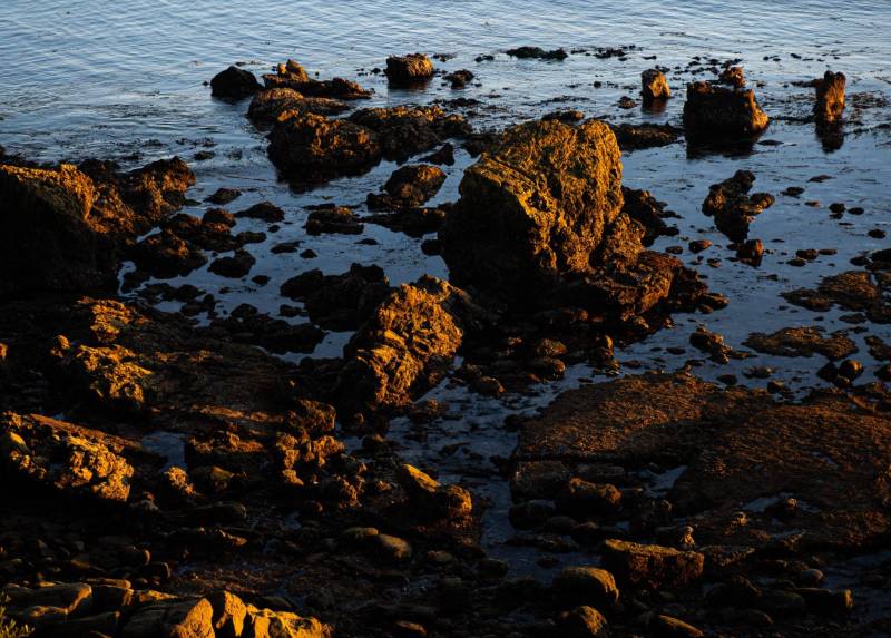 Laguna Beach, California