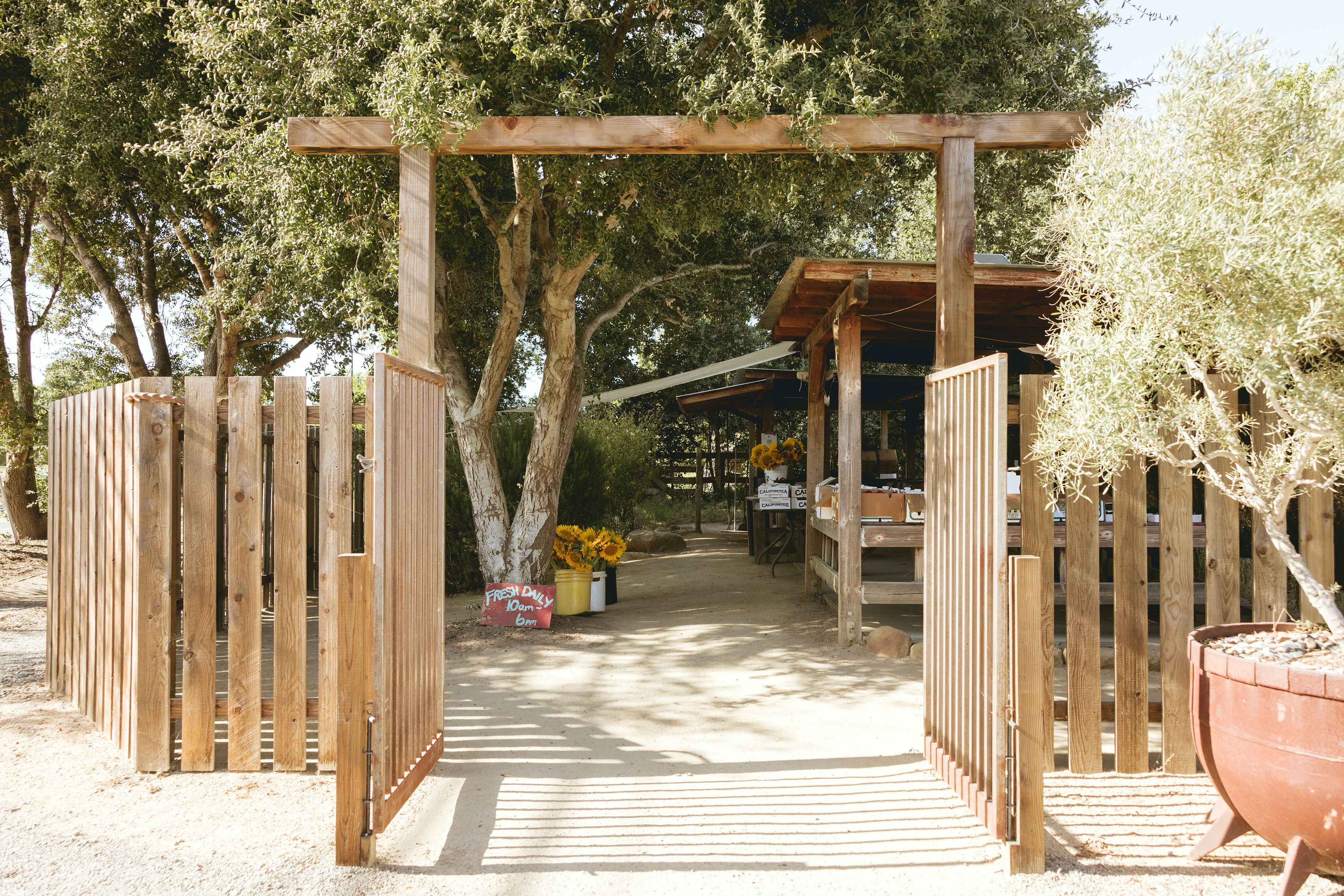 rooted-in-a-deep-agricultural-heritage-californias-santa-ynez-valley-offers-immersive-ways-to-connect-with-the-land