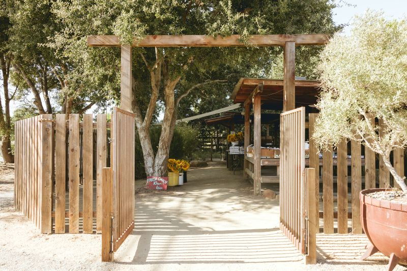 Visit the Santa Ynez Valley