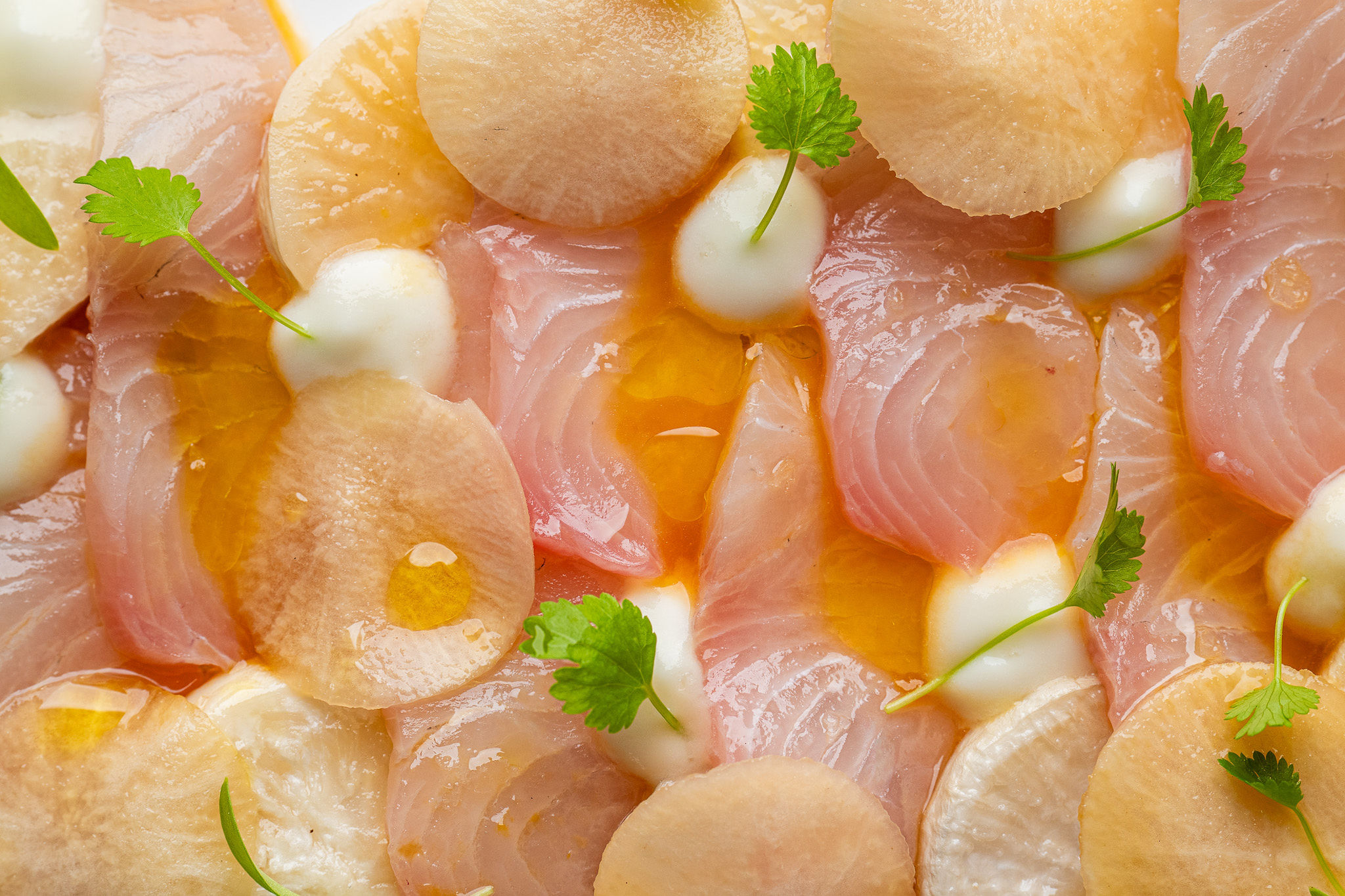 kampachi-crudo-with-tokyo-turnip-soubise