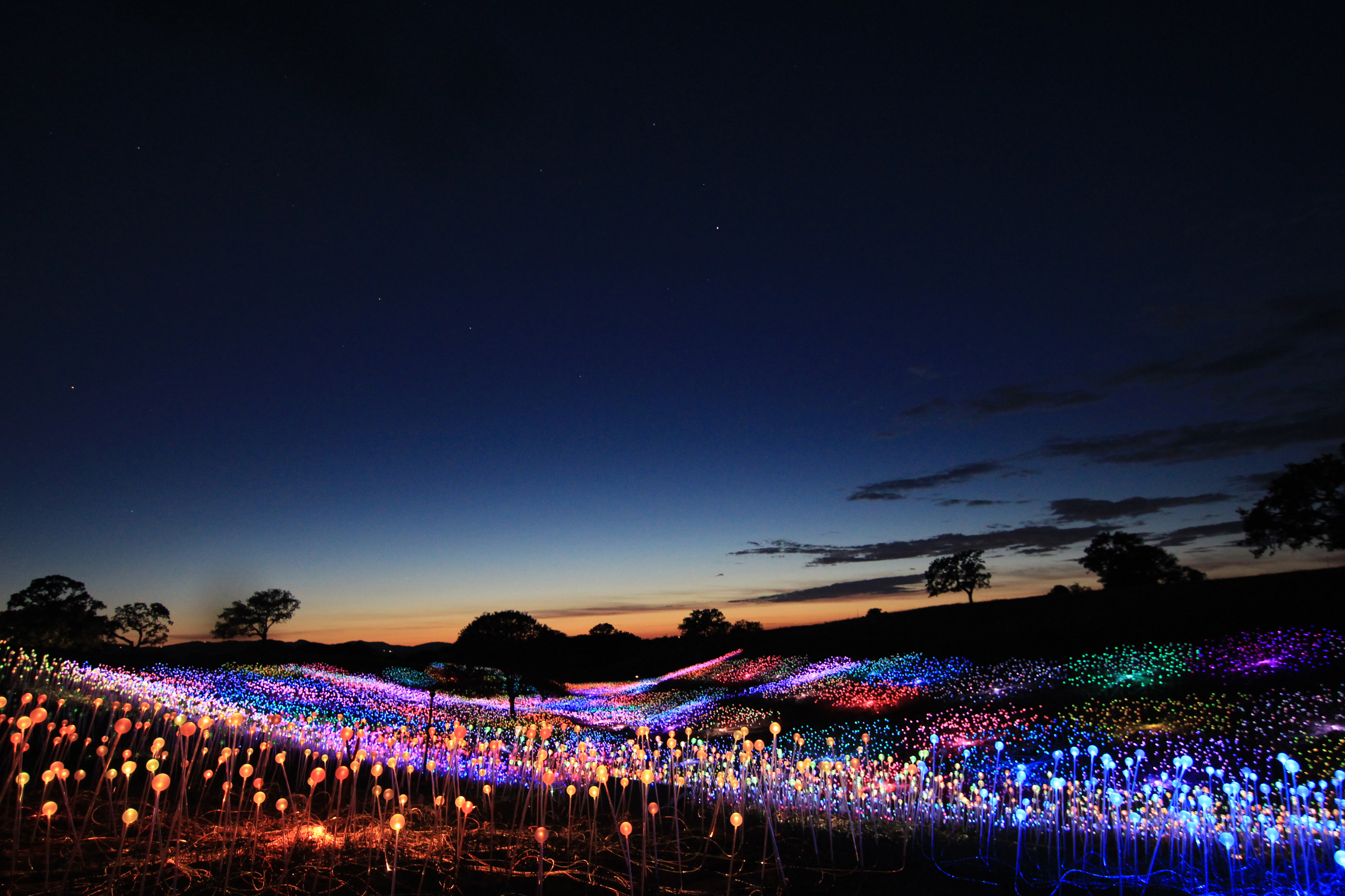 sensorio-field-of-light