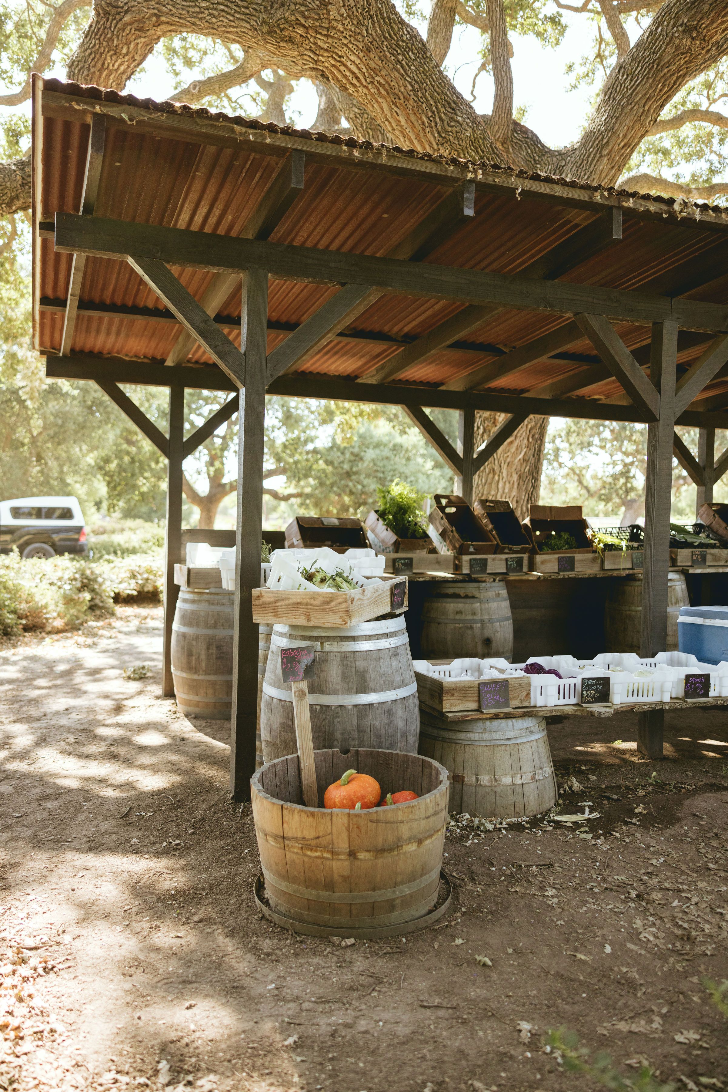 rooted-in-a-deep-agricultural-heritage-californias-santa-ynez-valley-offers-immersive-ways-to-connect-with-the-land