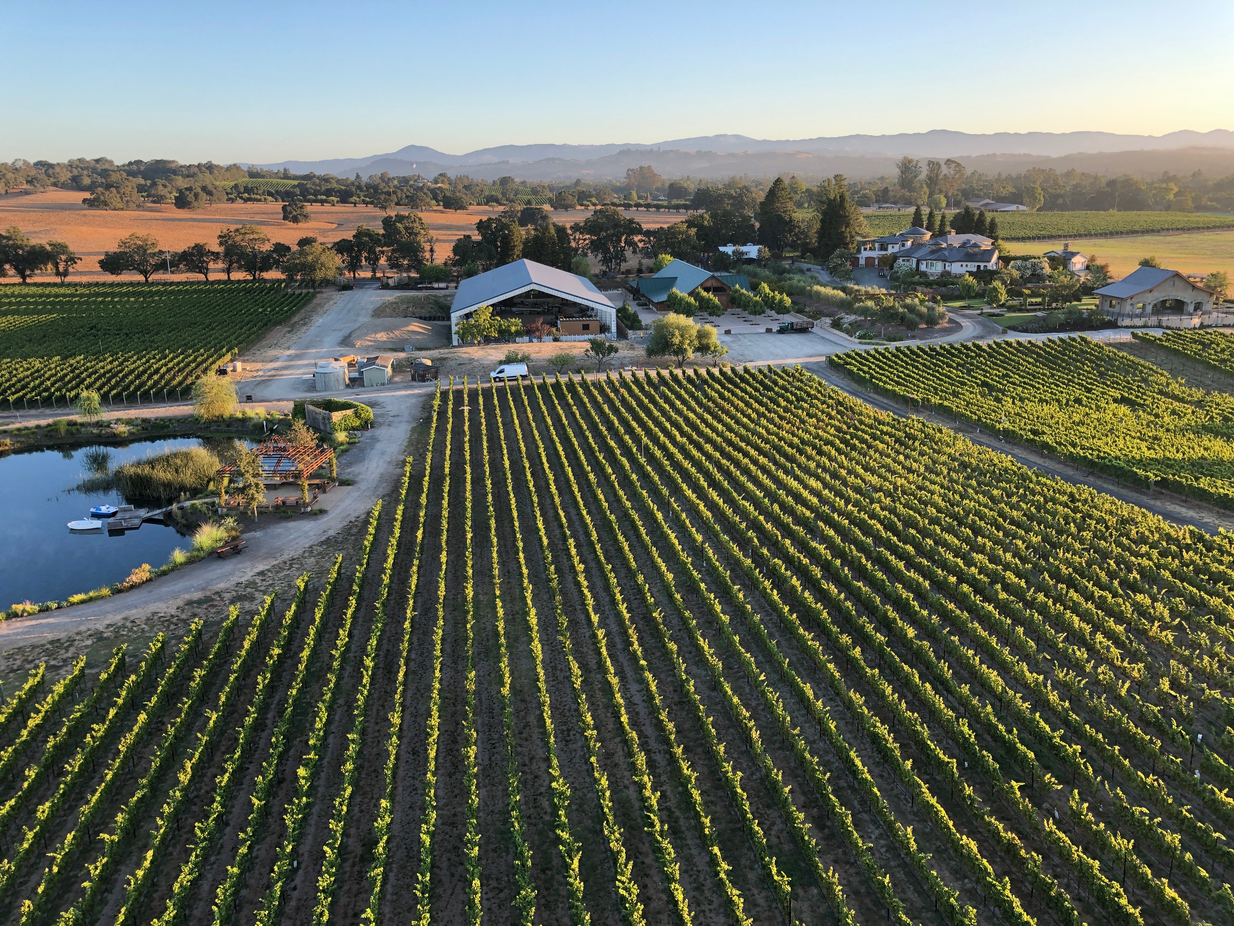 bricoleur-vineyards