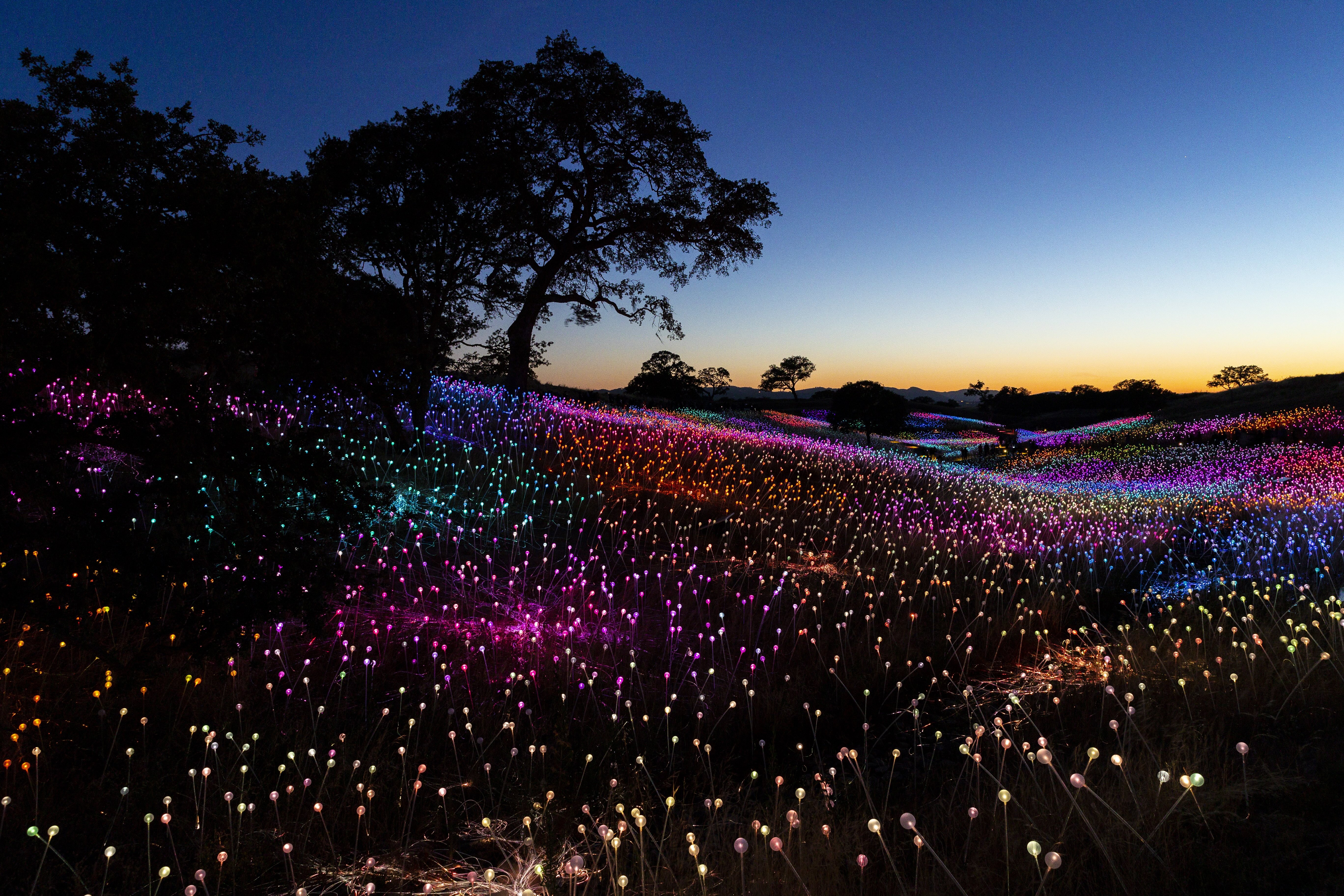field-of-light