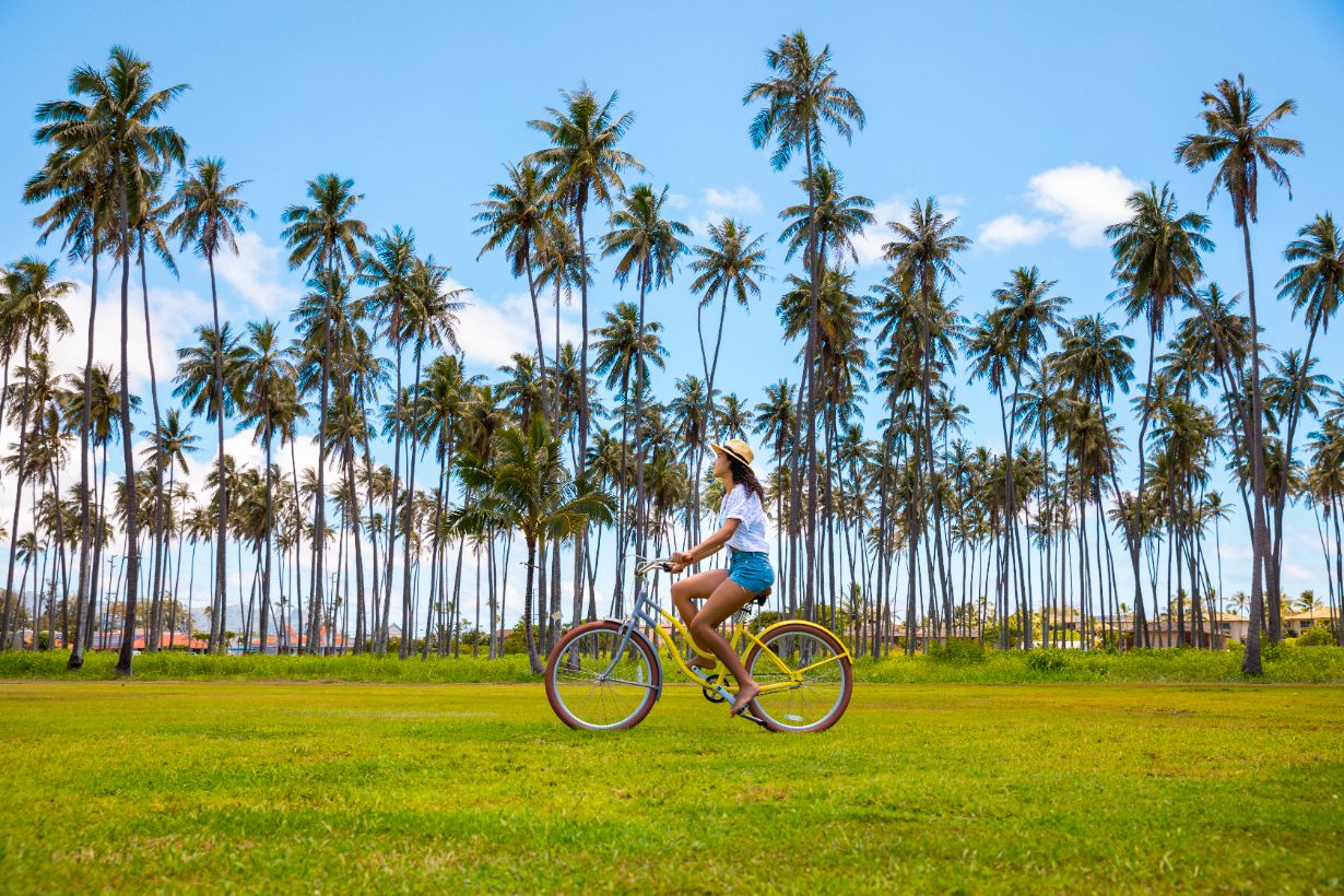 royal-coconut-coast-alongside-sheraton-kauai-coconut-beach-resort