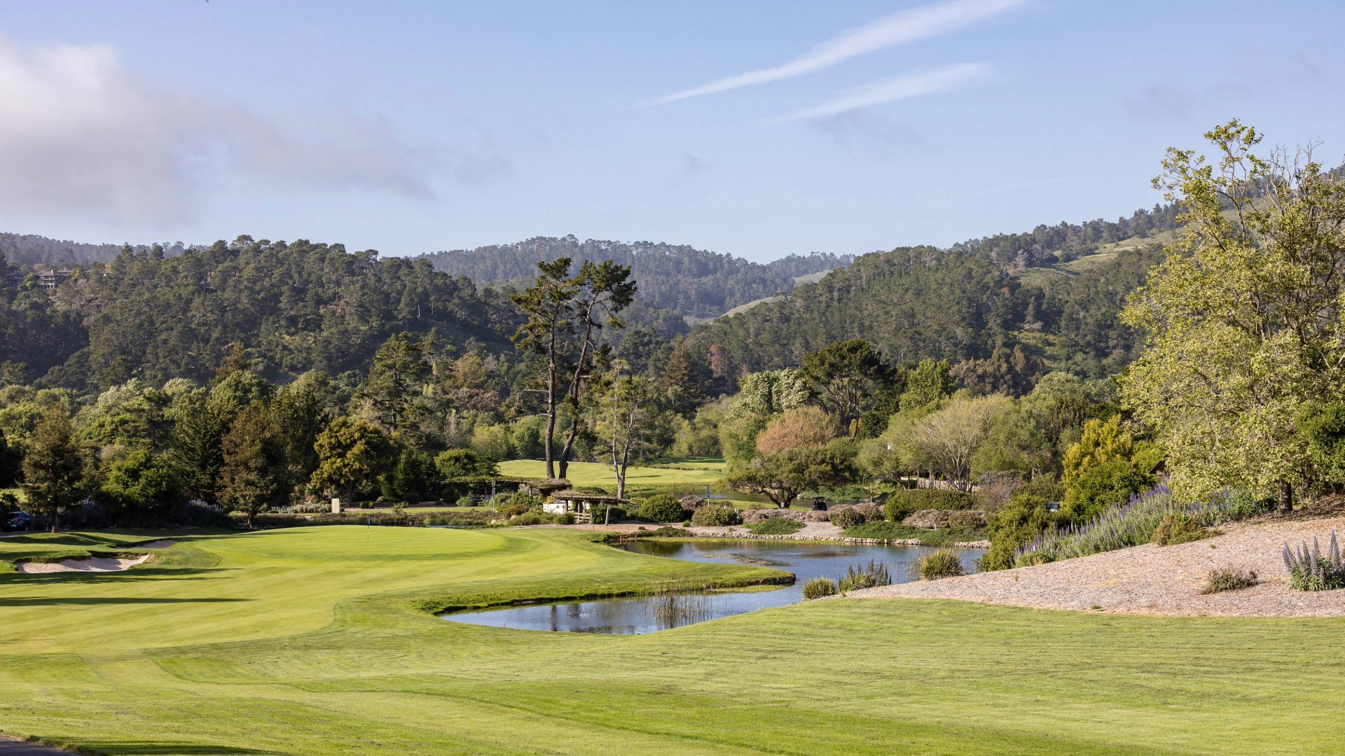 the-quail-golf-course