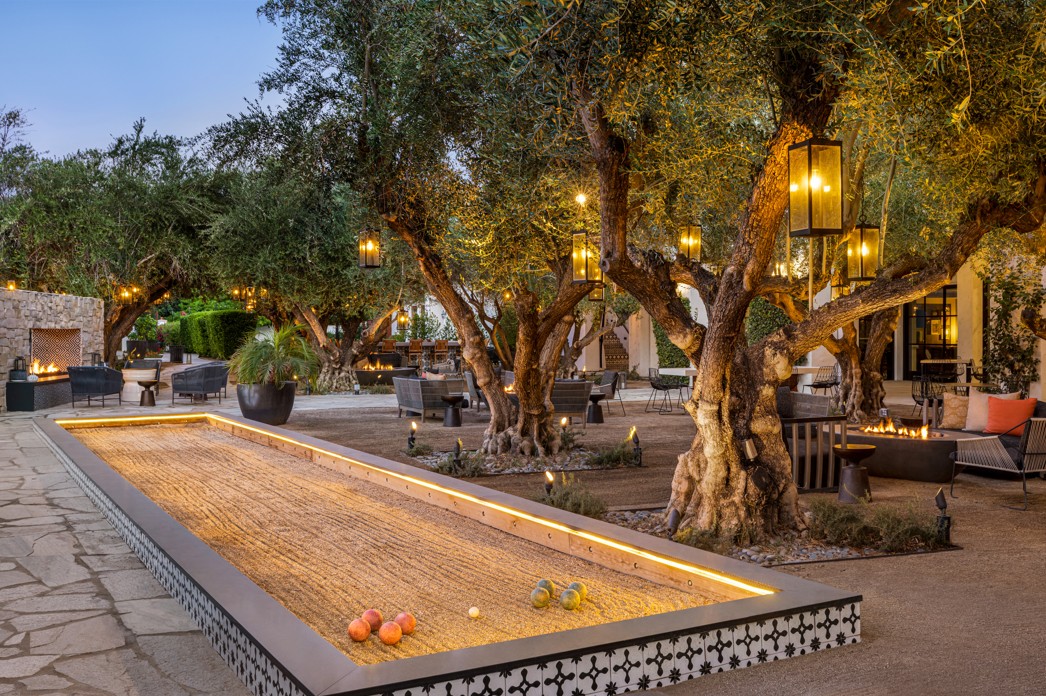 olive-grove