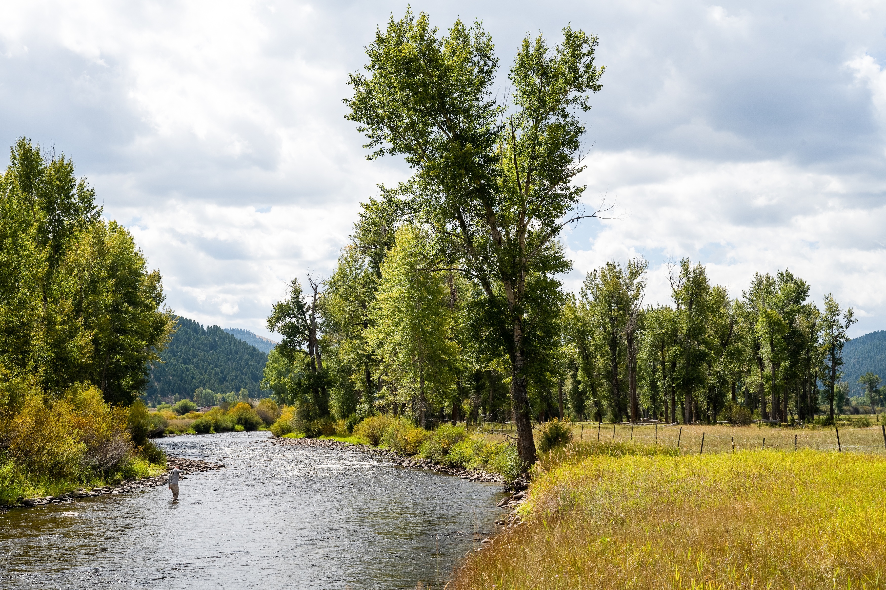 fly-fishing-on-rock-creek
