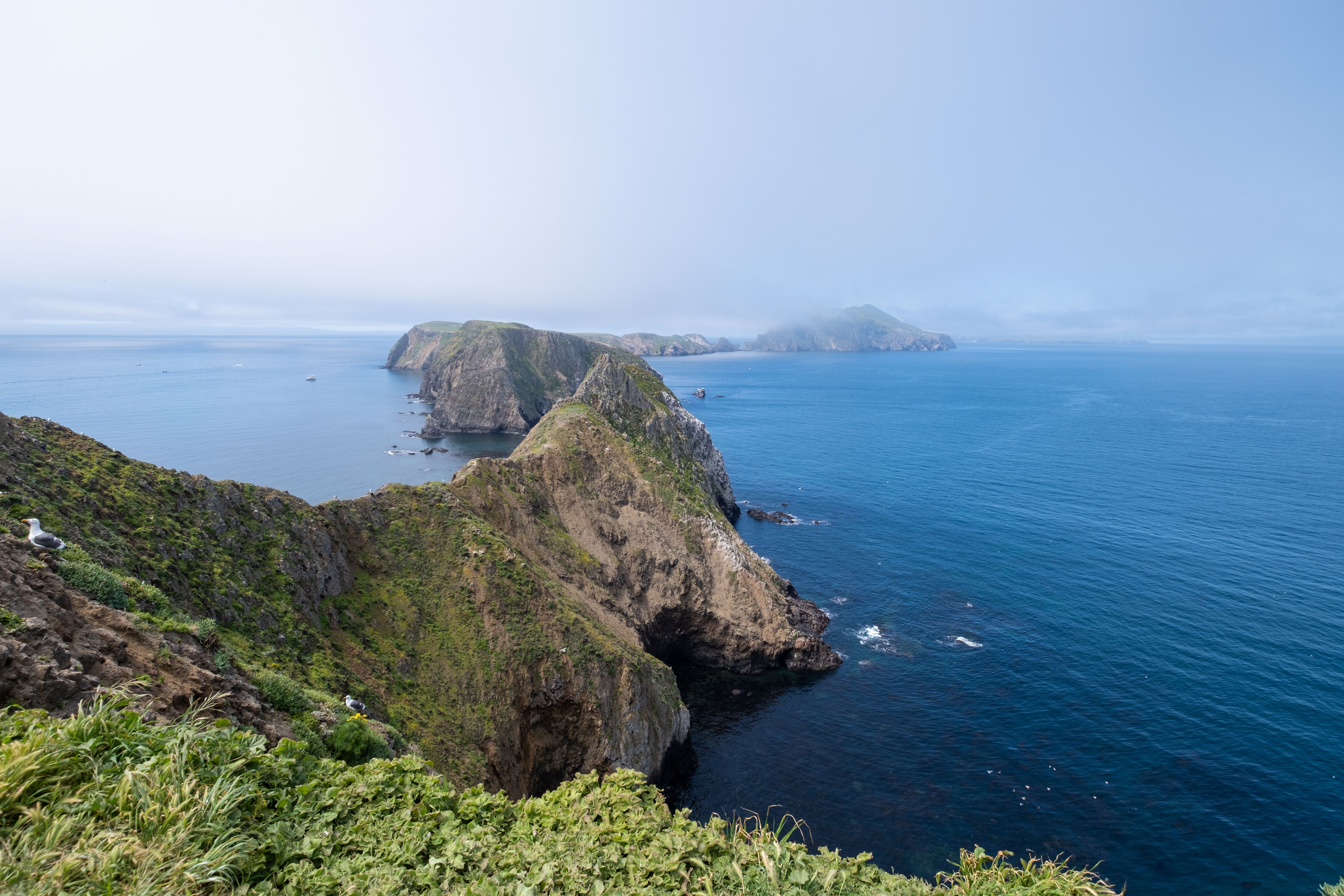 the-closest-beachfront-resort-to-channel-islands-national-park-often-called-the-galapagos-of-north-america