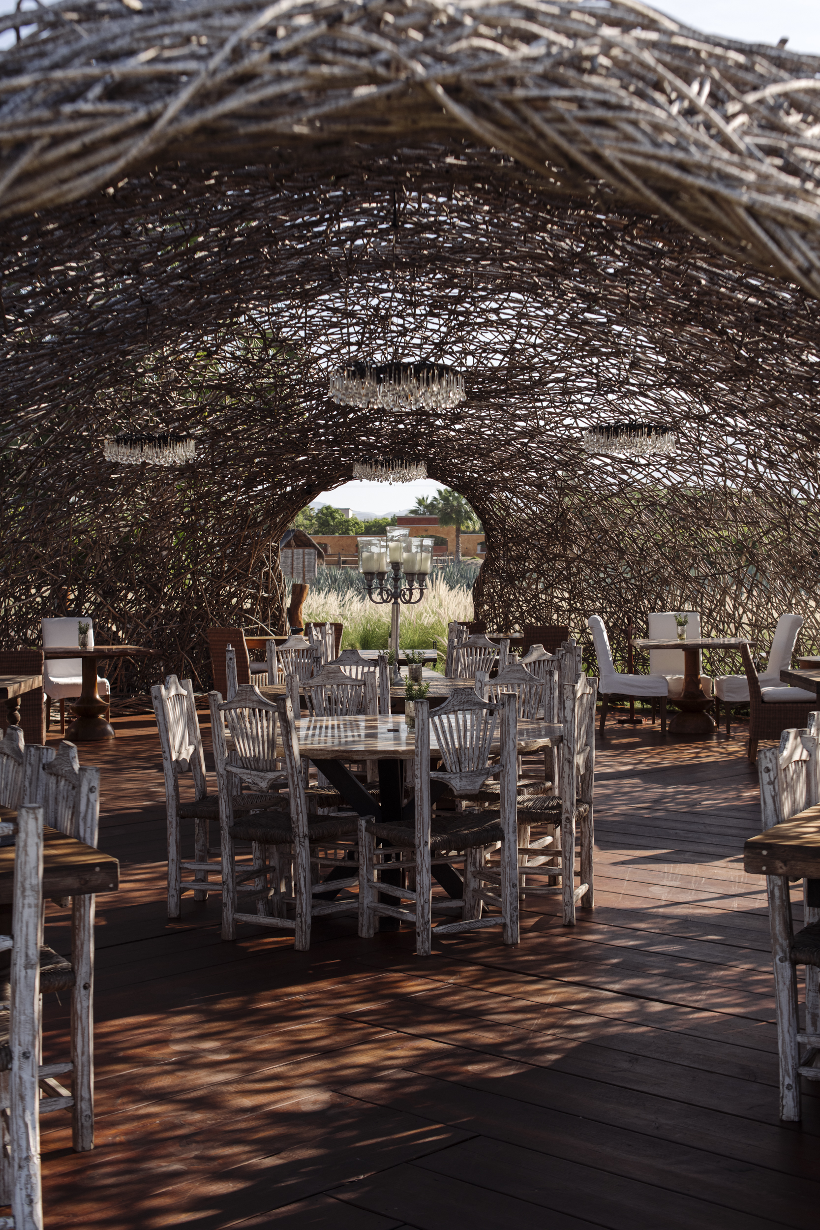 dining-at-caracara