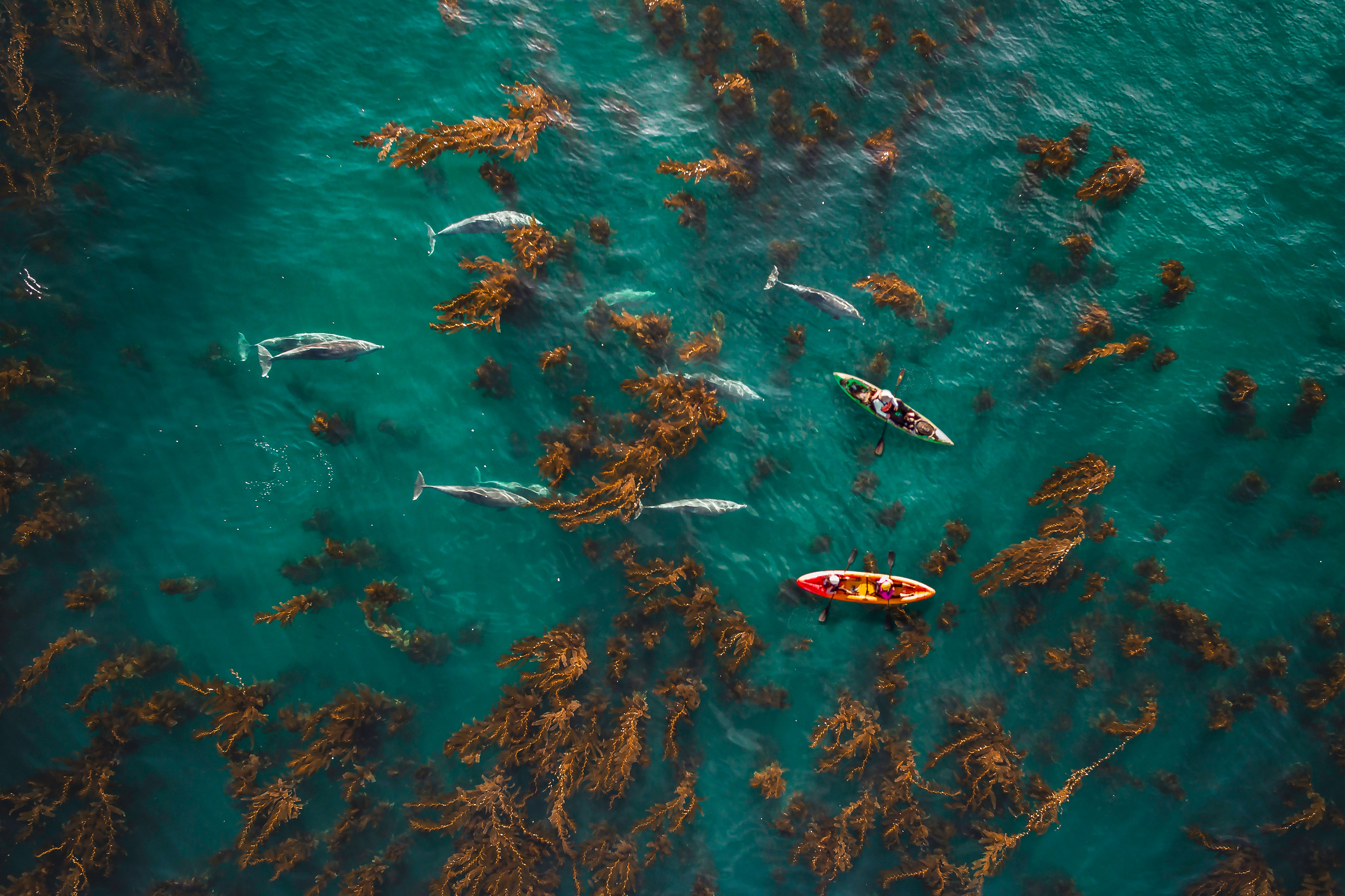 kayaking