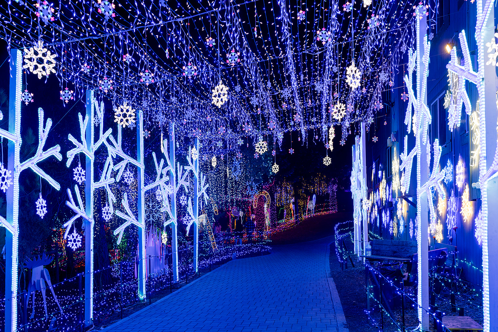 cambria-christmas-market-snowflake-tunnel
