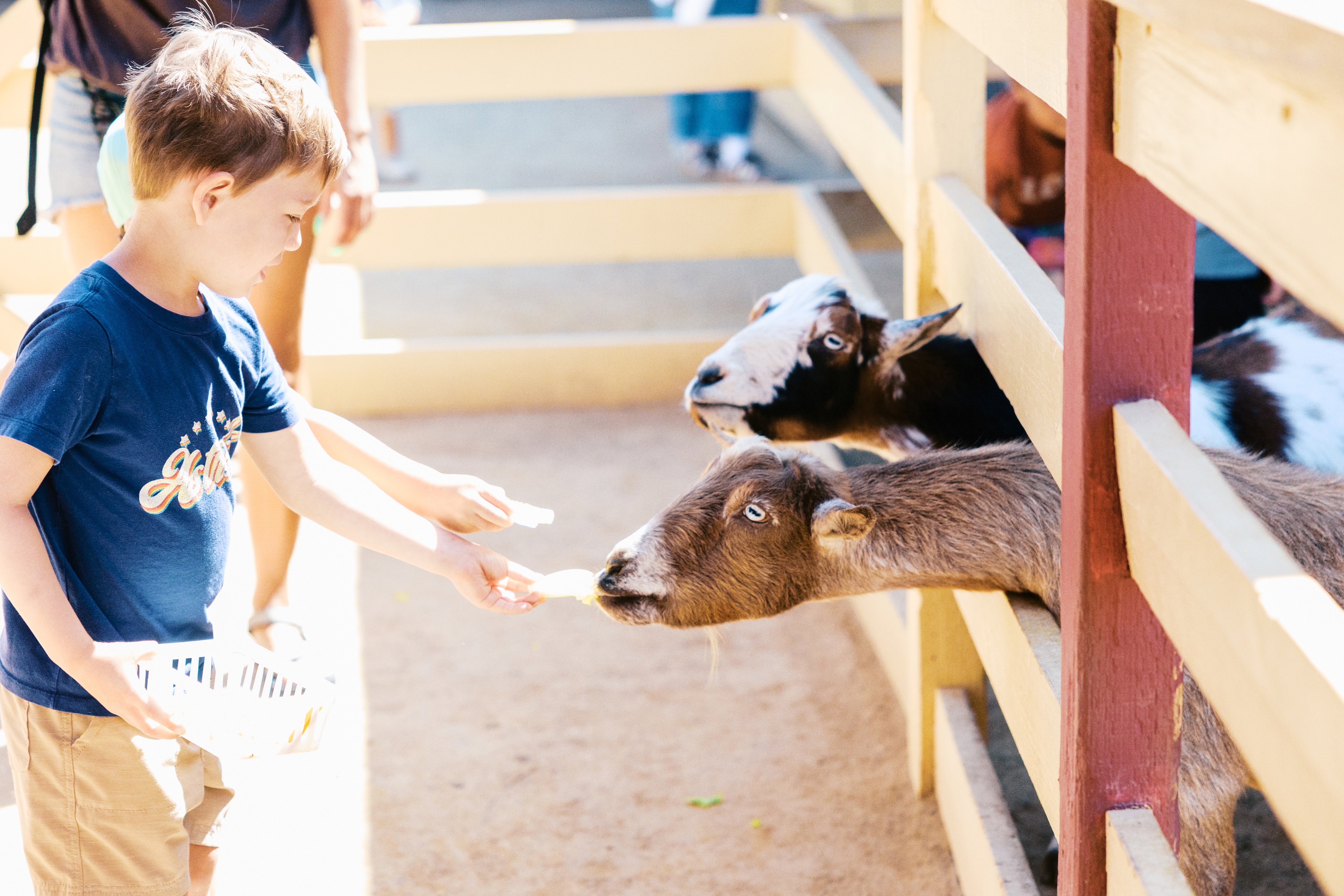 feeding-baskets-at-river-street-ranch