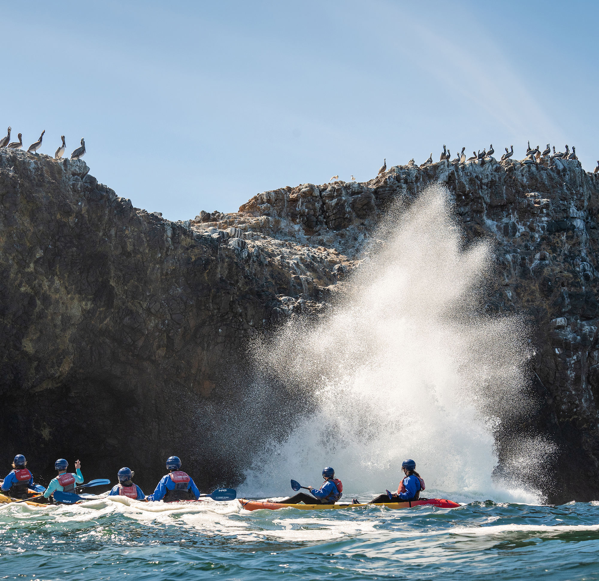 a-marine-blowhole-erupts-against-coastal-cliffs-as-seabirds-line-the-rugged-santa-cruz-island-shoreline