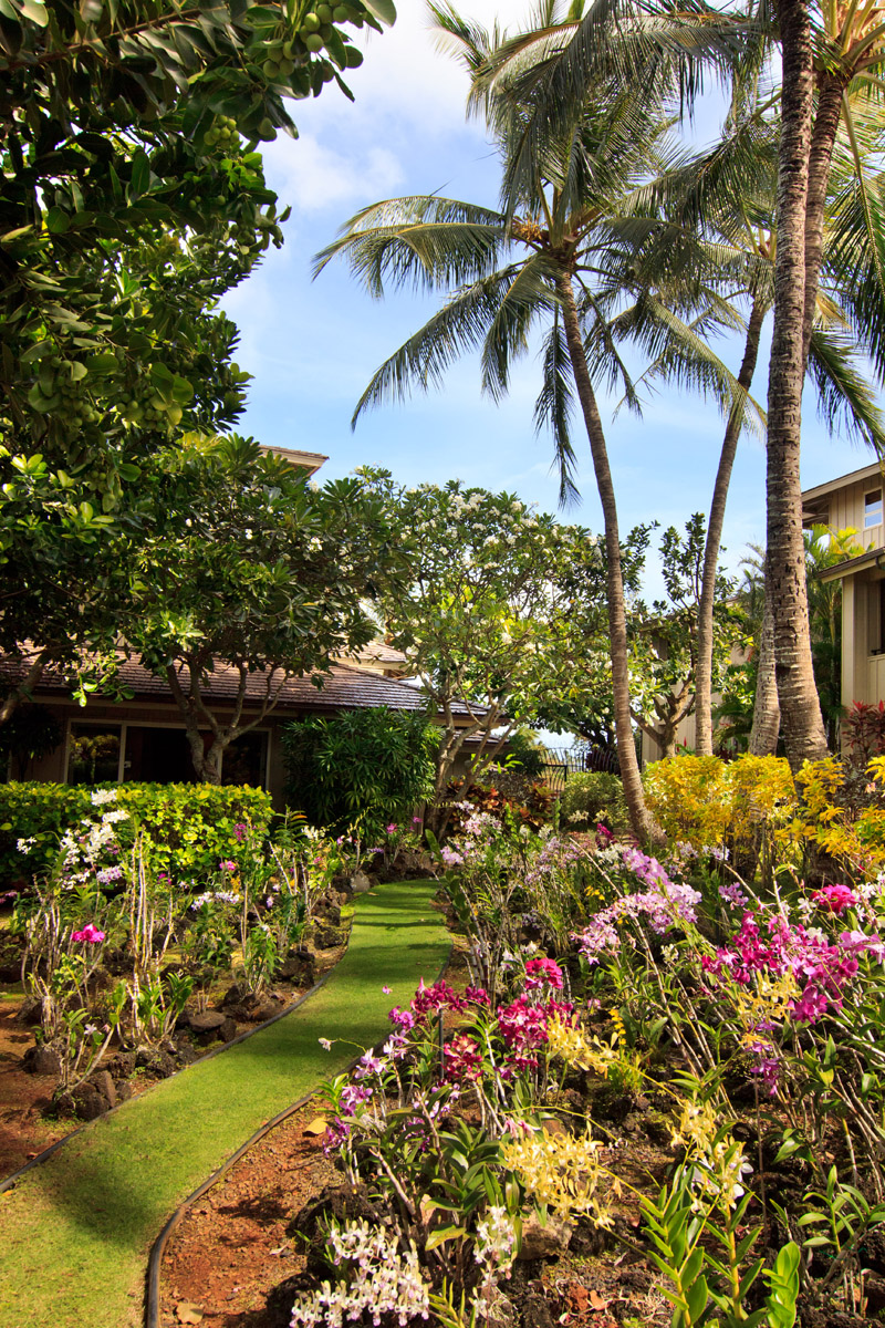 orchid-garden