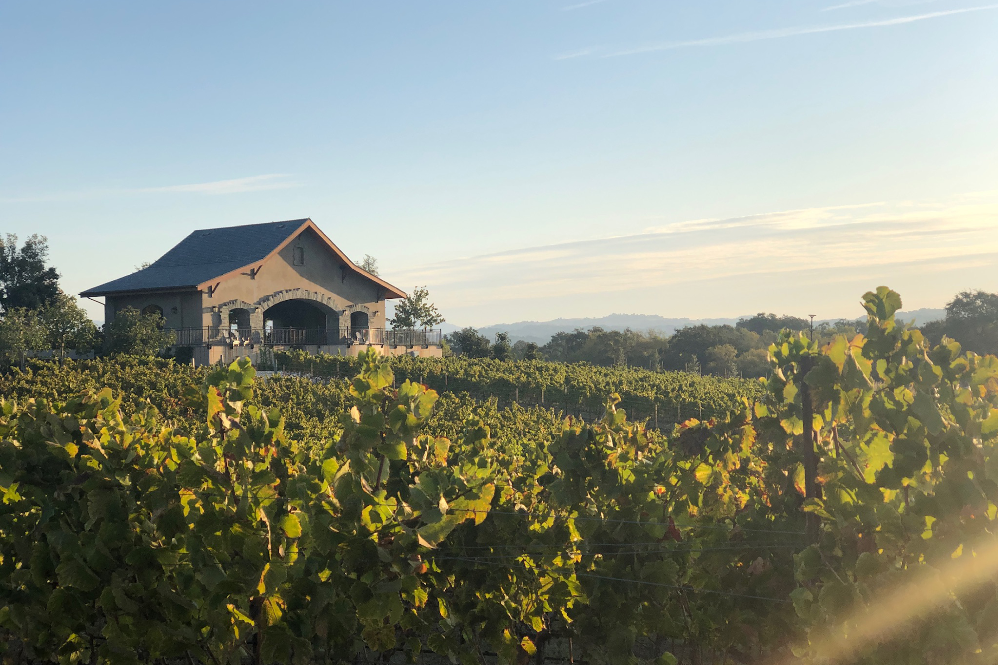 bricoleur-vineyards-open-air-pavilion-overlooking-the-vineyards
